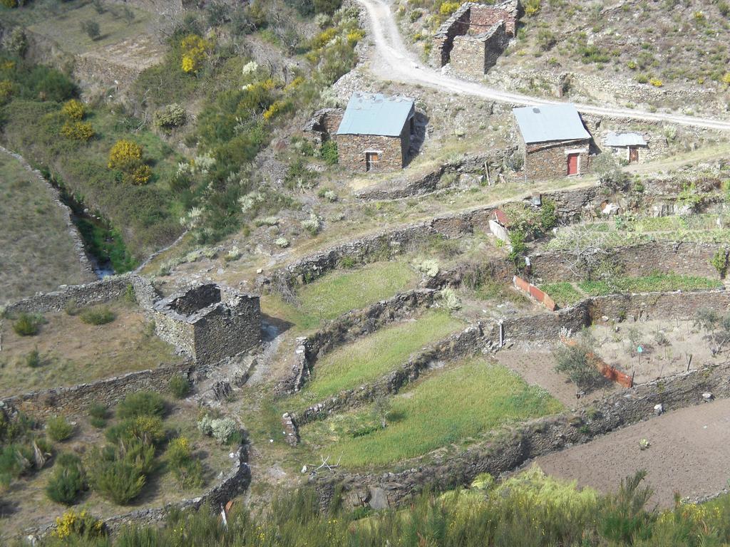 Casa Da Sobreira Βίλα Sobral de Sao Miguel Εξωτερικό φωτογραφία